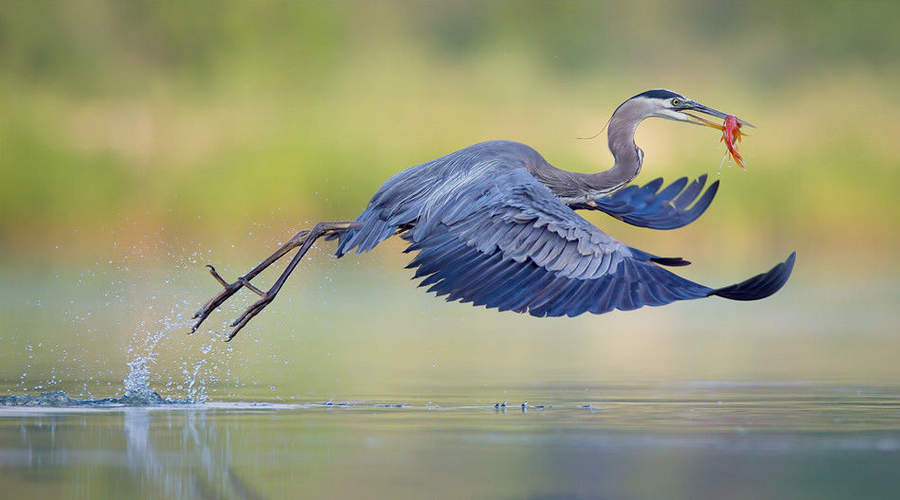 頂級(jí)攝影：眼球與心靈的雙重震撼(高清)