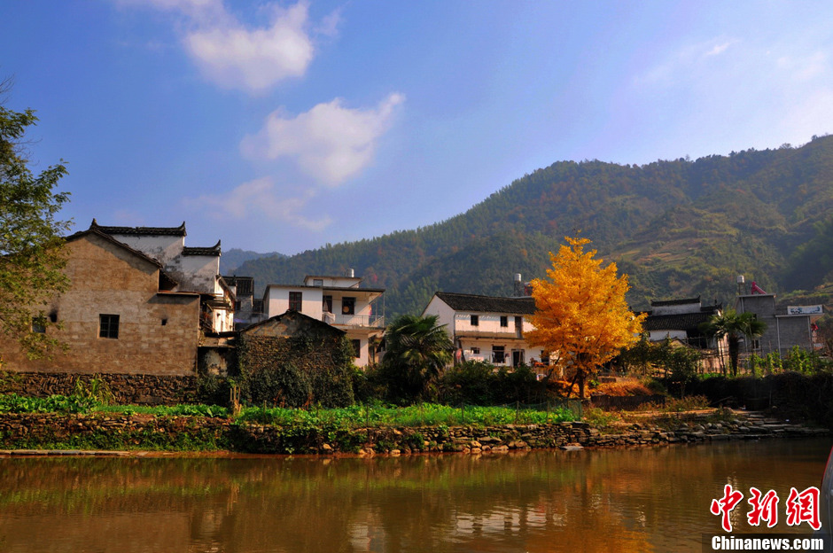 “最美鄉村”江西婺源紅楓引游客紛至沓來