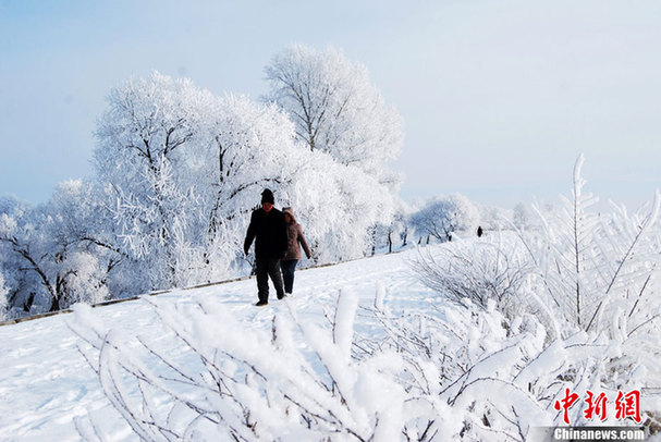 黑龍江伊春現霧凇奇景 美輪美奐