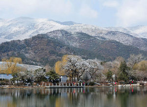 京城雪紛飛 細(xì)數(shù)十處最具京味賞雪地