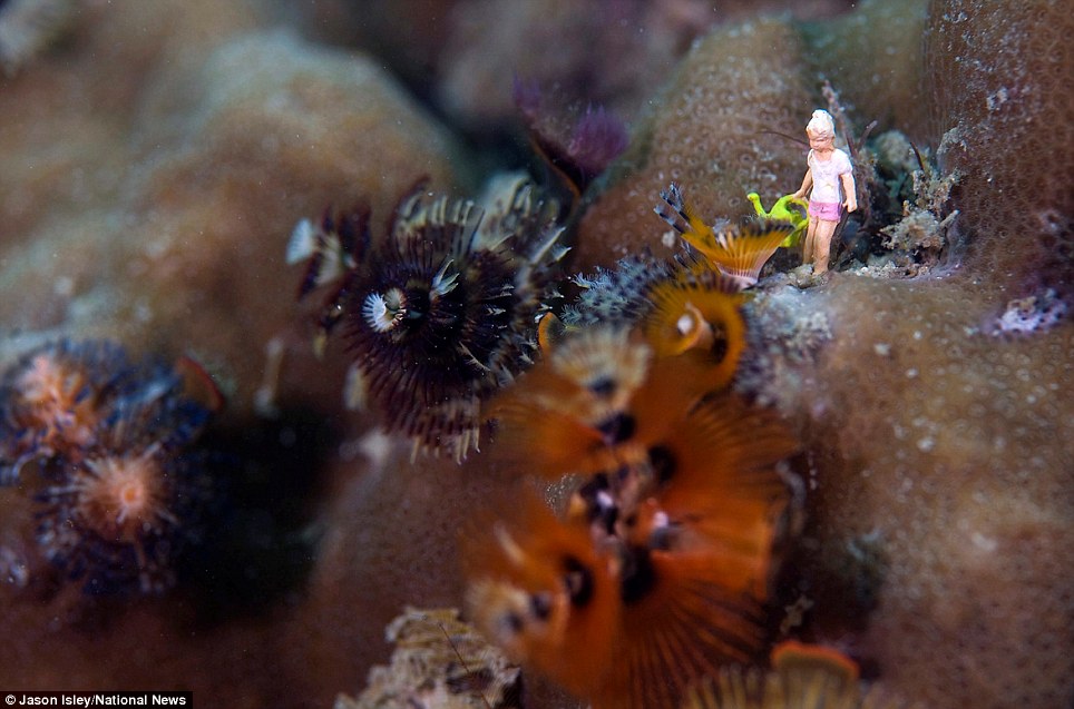 趣味攝影:水底小人國世界(組圖)