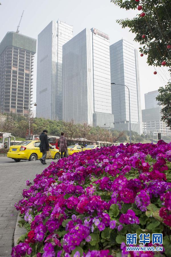 “花開意盎然，雀鳥上枝頭”：聽！春天的腳步聲