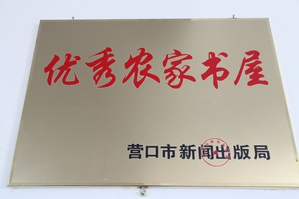 營口大石橋：讓農民文化生活“富”起來