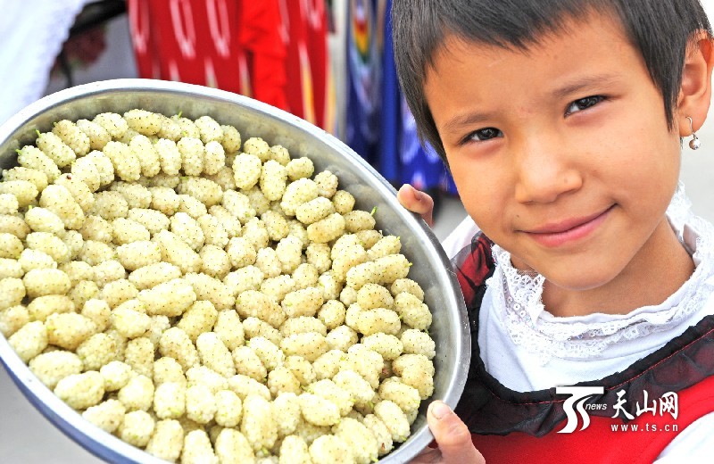 新疆庫爾勒市首屆“美麗蘭干·甜蜜桑葚”節開幕
