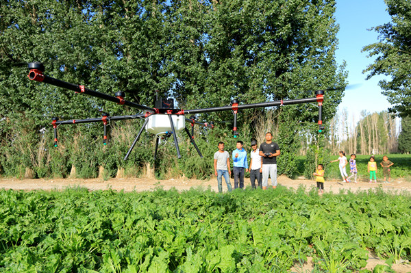 新疆博湖：植保無人機助農豐產增收
