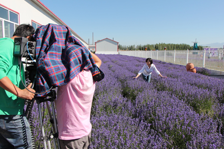 “父親節(jié)”慰問探班電影《好運特克斯》拍攝劇組