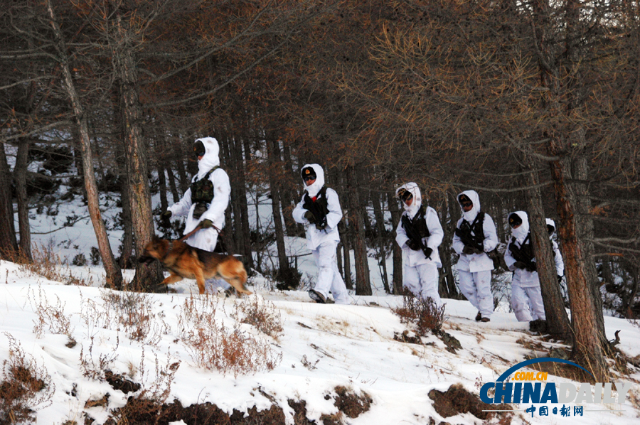雪域衛(wèi)士以忠誠喜迎元旦佳節(jié)