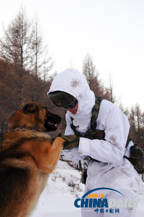 雪域衛士以忠誠喜迎元旦佳節