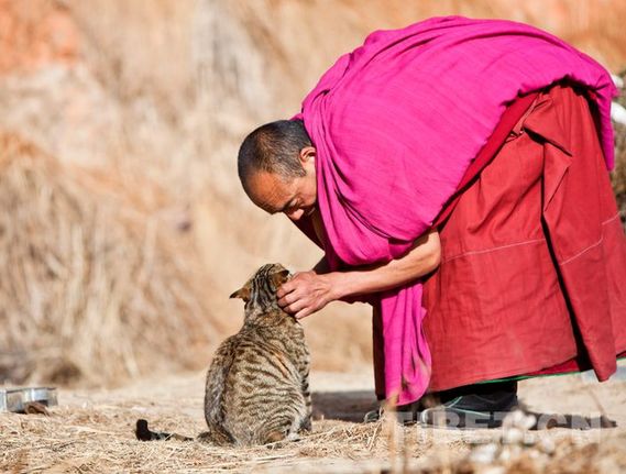 盤點(diǎn)2014:愛西藏之人物篇