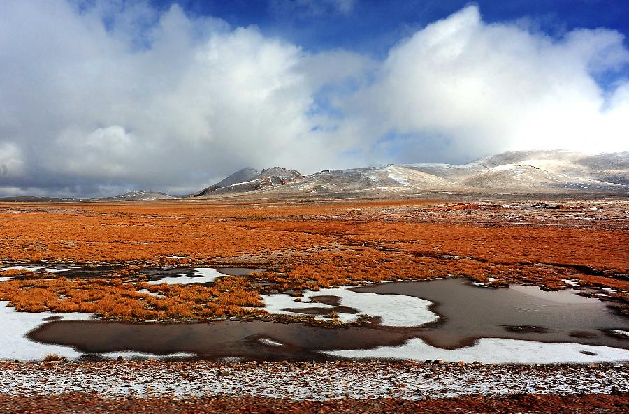 西藏：高原生態系統總體趨好