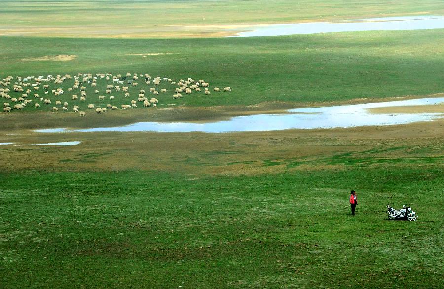 西藏：高原生態系統總體趨好