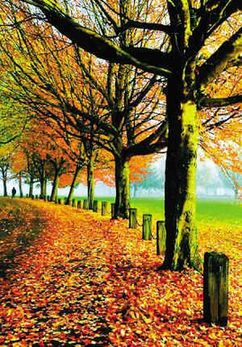 2011上班族年假大計劃　讓旅行再幸福一點