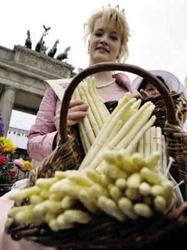 2011上班族年假大計(jì)劃 讓旅行再幸福一點(diǎn)