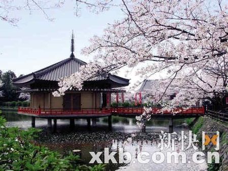 2011上班族年假大計劃　讓旅行再幸福一點