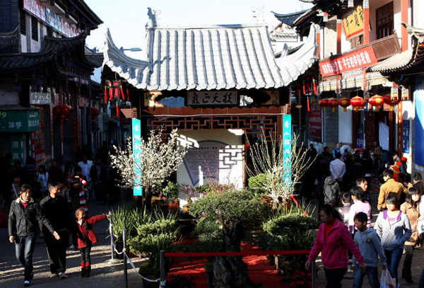 通海：“迎春花街”開街