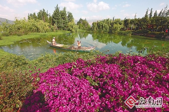 積極探索管護方式 云南擬籌資18億保護濕地