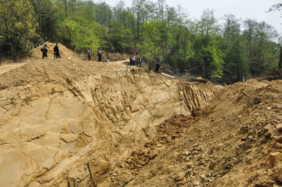 堅(jiān)定•擔(dān)當(dāng)•務(wù)實(shí)——追記農(nóng)村基層干部的優(yōu)秀代表陶應(yīng)全