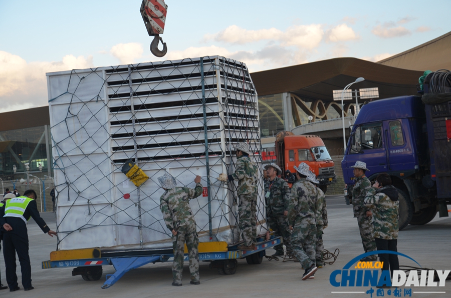 23位南非“高富帥” 昨日長水機(jī)場落地