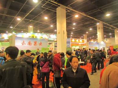 云南高原特色果品 深受杭州各界青睞