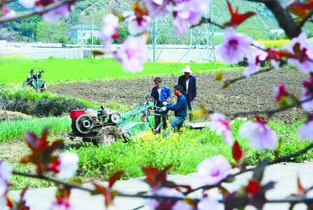 春到浙江風光好