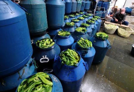 浙江溫嶺：蔬菜粗加工緩解滯銷難題