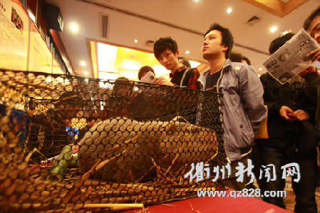 創業從青年做起 2011衢州創業文化周啟動