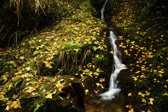 麗水：山清水秀靈毓地