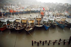 Fishing boats are docked at a port in Cangnan county in east China's Zhejiang province July 19, 2005. 