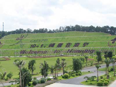 CAEXPO logo formed with flowers and plants