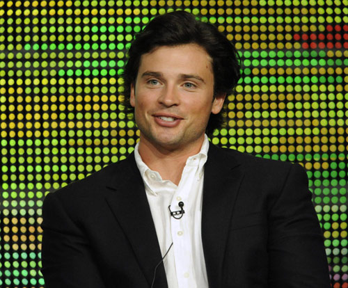 Ashley Tisdale participate in panel for 