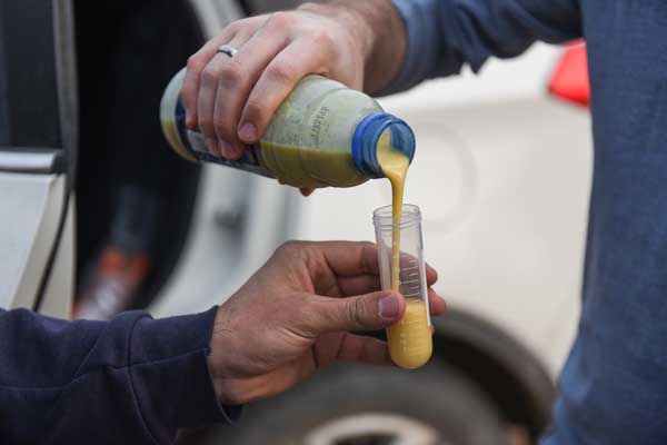 Ancient suds in modern mugs