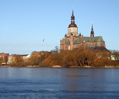 Charlie的鳥類世界