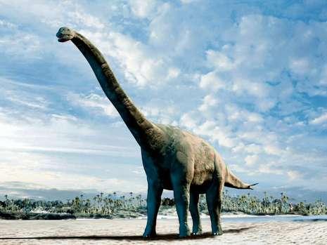 科學家提出新理論：有毒海藻造成恐龍滅絕