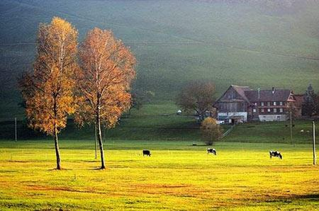 奢侈：感受童話中美輪美奐的豪宅