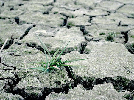 全球變暖災難不斷 “溫暖”變恐怖