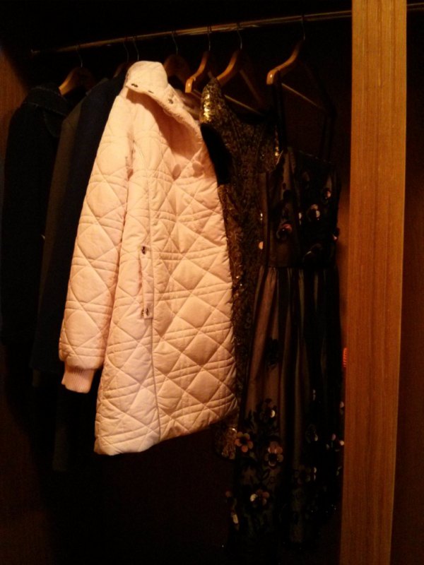 烏克蘭前總統逃跑 被爆與情婦同住官邸 圖