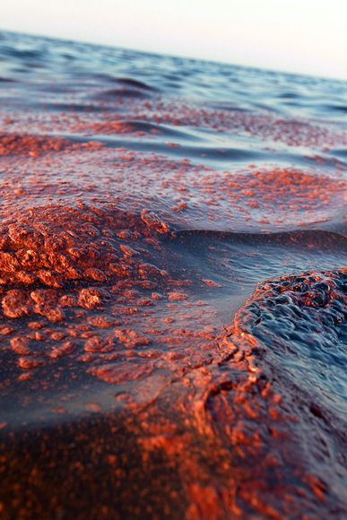 美國官員預計墨西哥灣原油泄漏可能持續到8月