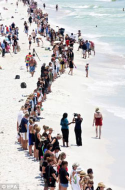 熱帶風暴逼近或影響清理漏油 美民眾組“人鏈”抗議英公司