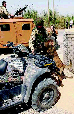 美向伊轉交55名前政府高官 包括“薩達姆喉舌”