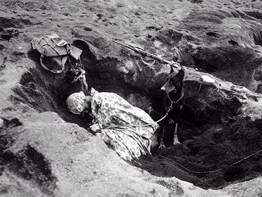 日軍兩處千人冢被發現 揭示硫磺島戰役之殘酷