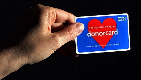 申請駕照需回答是否愿捐贈器官 英政府希望提高捐獻者數量