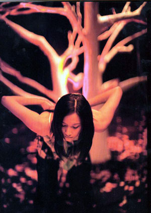 徐靜蕾夢幻寫真秀美腿