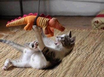 哇，有怪獸！