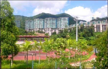 香港細節之綠化意識(組圖)