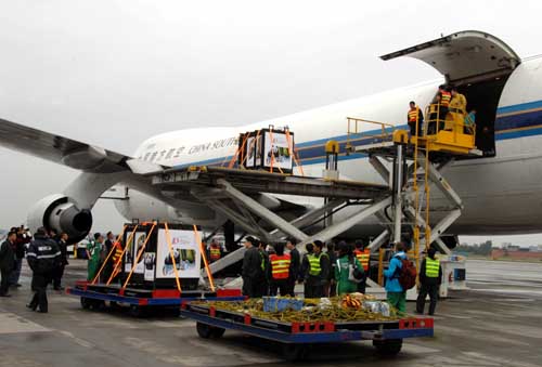 贈港大熊貓盈盈、樂樂