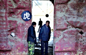 沈陽動物園老虎餓死幕后:園區(qū)被抵押貸款建球場