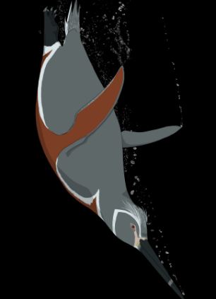 秘魯發現巨型企鵝化石 高1.5米號稱“水中之王”