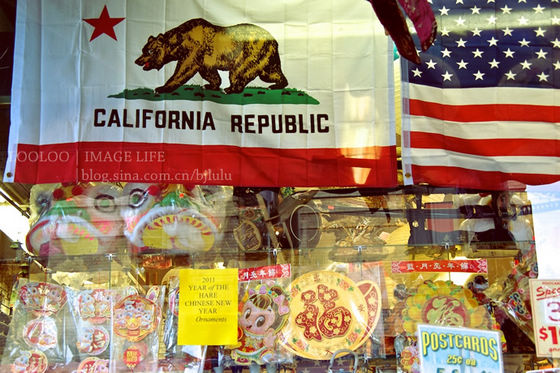 逛逛美國唐人街的花市