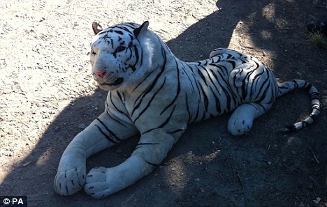 英國警察被忽悠 派出直升機“圍捕”玩具老虎