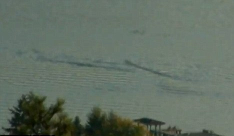 冰島百年水怪今日終現(xiàn)身？盤點(diǎn)幽藍(lán)世界詭異“怪獸”